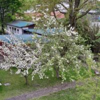 3 Zimmerwohnung Dortmund-Marten